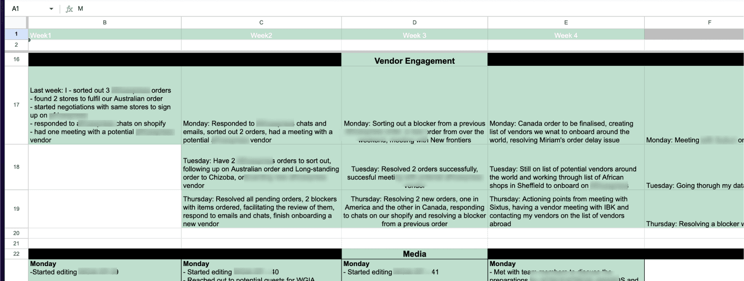 A typical excel sheet